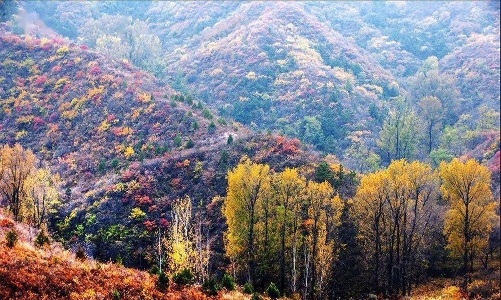 登山步道|北京昌平，人少景美的高山村落，完善的登山步道，只为赏秋而来