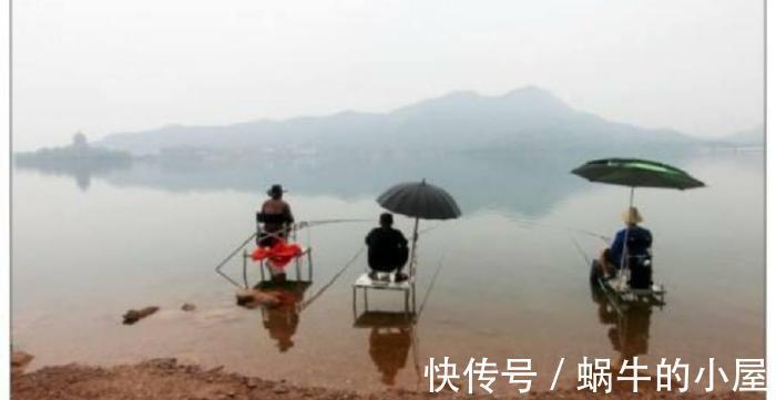 鱼类|野钓鲤鱼要注意什么