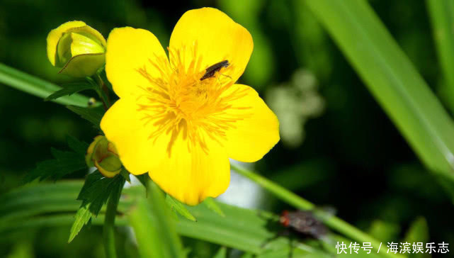 好老婆|旺夫镇宅,此4生肖女福气满满,婚后聚财旺家,是全家的福星