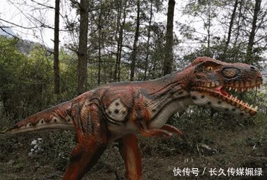 大湖|水波荡漾、承天所赐的大湖——杉木湖景区