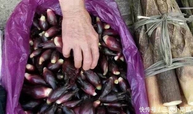 农民朋友|这种野菜以前没人要，现在野生的越来越少，成稀罕货，你见过吗？