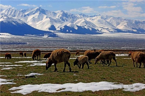康熙400多年前叫错一水果,至今都没改正,可能你的叫法也错了
