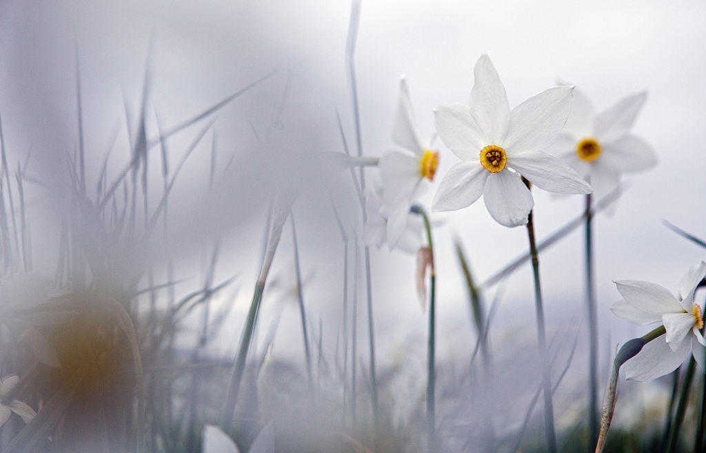 《曾国藩家书》:对人要宽严相济,办大事要有人才备份