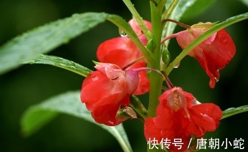 辛丑！七律｜人间至美是清秋