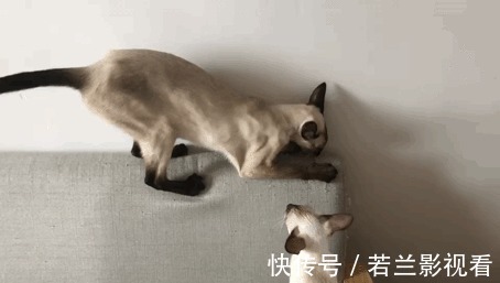 餐桌|这5件家具用品,买的时候“真香”,使用起来可真“鸡肋”