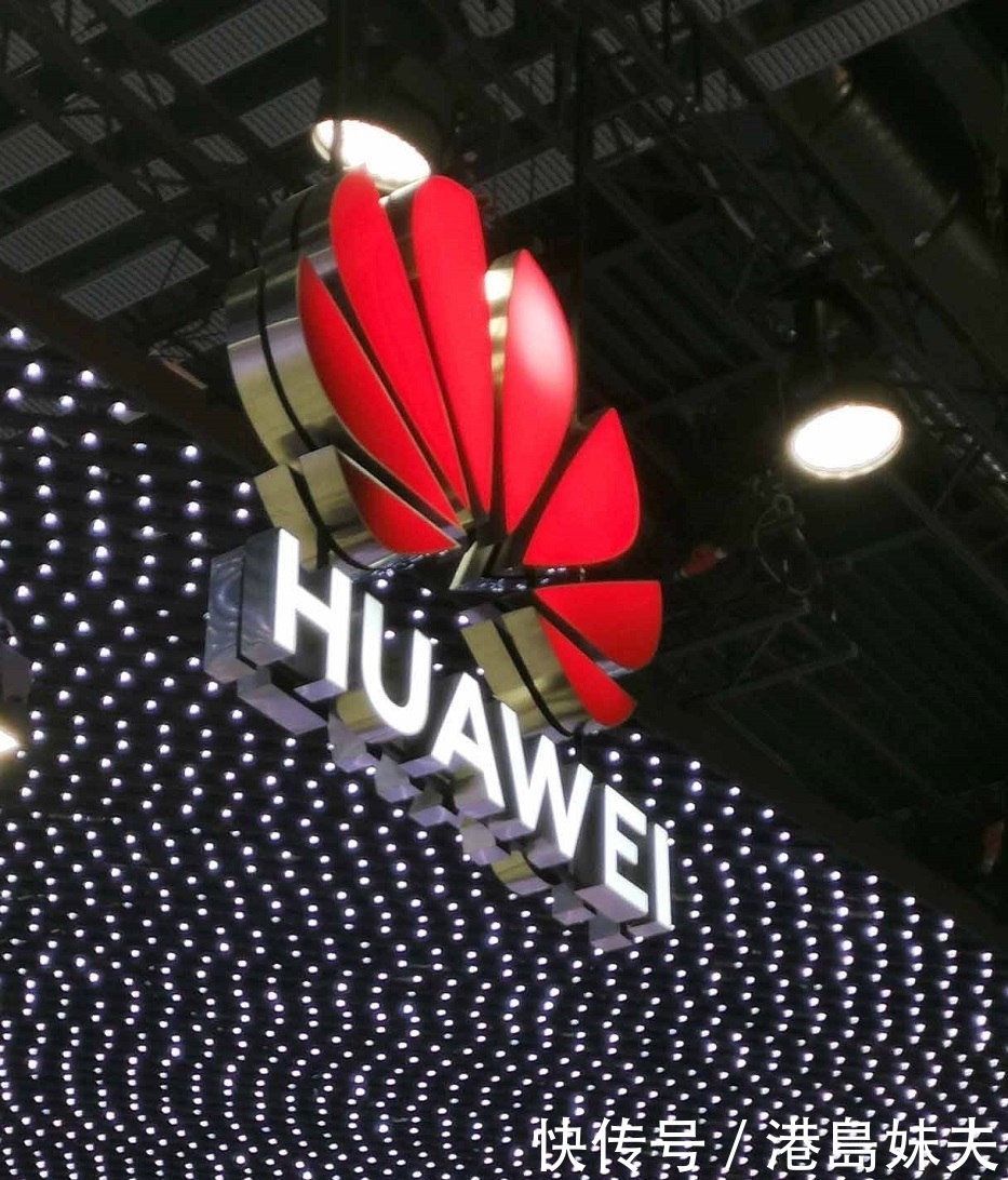 副总裁|曾与任正非情同父子,何事却让他破口大骂:不计代价而诛之?