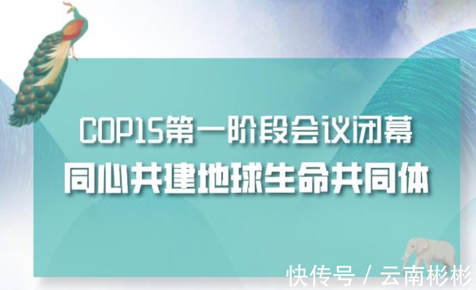 房贷利率|2021下半年昆明房价何以为继?COP15或许是一个契机