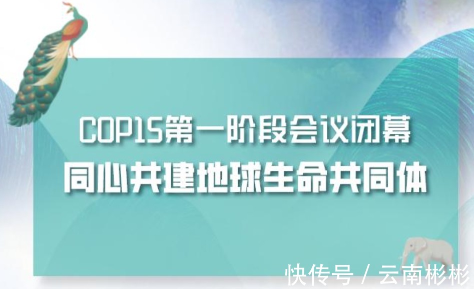 国际性|2021下半年昆明房价何以为继？COP15或许是一个契机