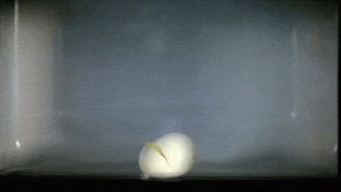 食物|微波炉是利用什么加热食物的,原理是什么,又为何不能加热罐头呢