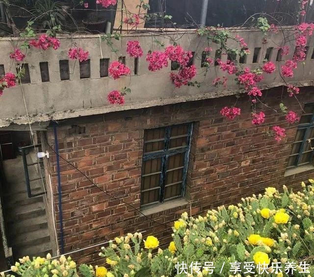 8种镇宅花，窗户边养一棵，霸气又镇宅！