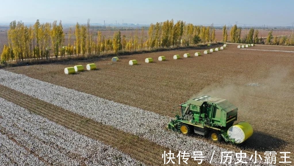 博览会|地方丨这片开放的热土，延续着丝路古道的繁荣