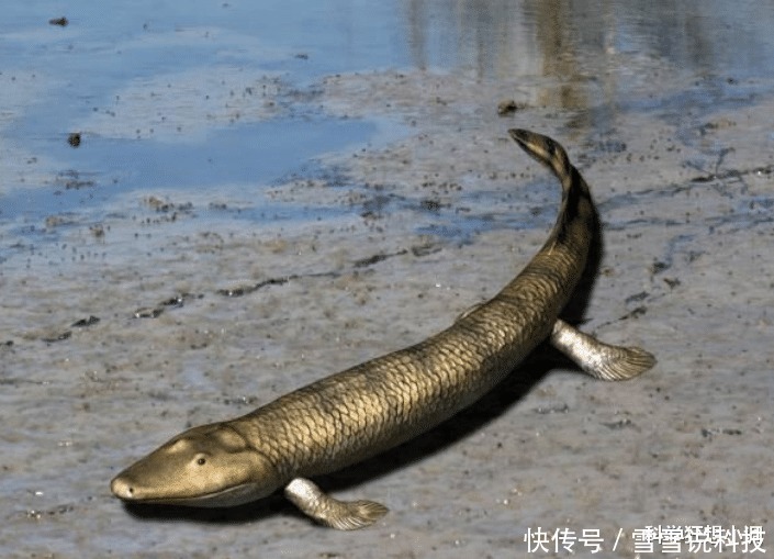 巧妇难为无米之炊 科学家:如果把你困在泥盆纪,你能撑多久?