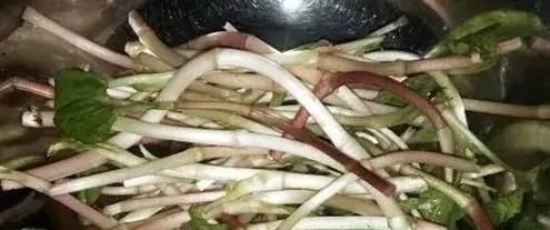 高血糖|建议大家:紫菜加一物炖汤喝,血糖当天就下降,亲试有用!