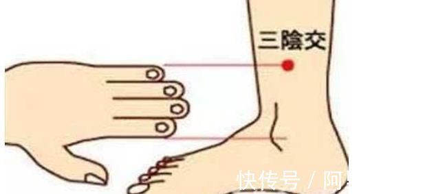 公孙穴|脾主运化，常按这几个穴位益于健脾，快来学学
