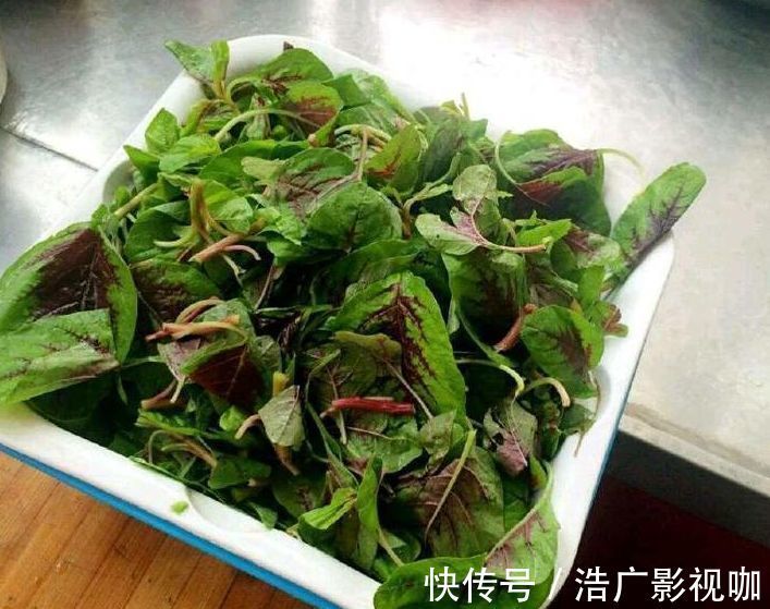 枸杞芽|女性想美,坚持吃以下食物,排毒护肤,延缓衰老,改善体质