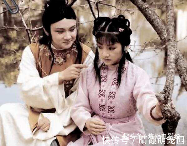 丫鬟#假如当初贾母拨给黛玉的丫鬟是袭人而不是紫鹃,会有什么影响呢?