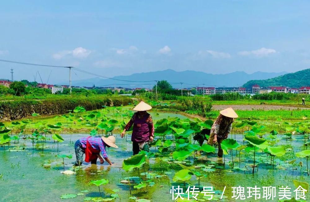 城市|全球最佳旅行地出炉！它是中国唯一上榜的城市，比苏杭还安逸，美到窒息！