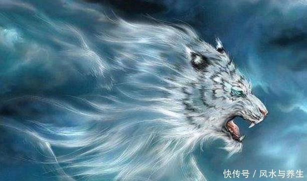 虎狼#俗语“不怕虎狼当面坐”,后半句才是精华,古人经验道尽人性