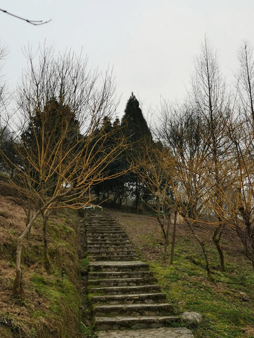 中年|重庆互动性极强的景区，藏有重庆最大的孔雀园，国内首个艺术景区