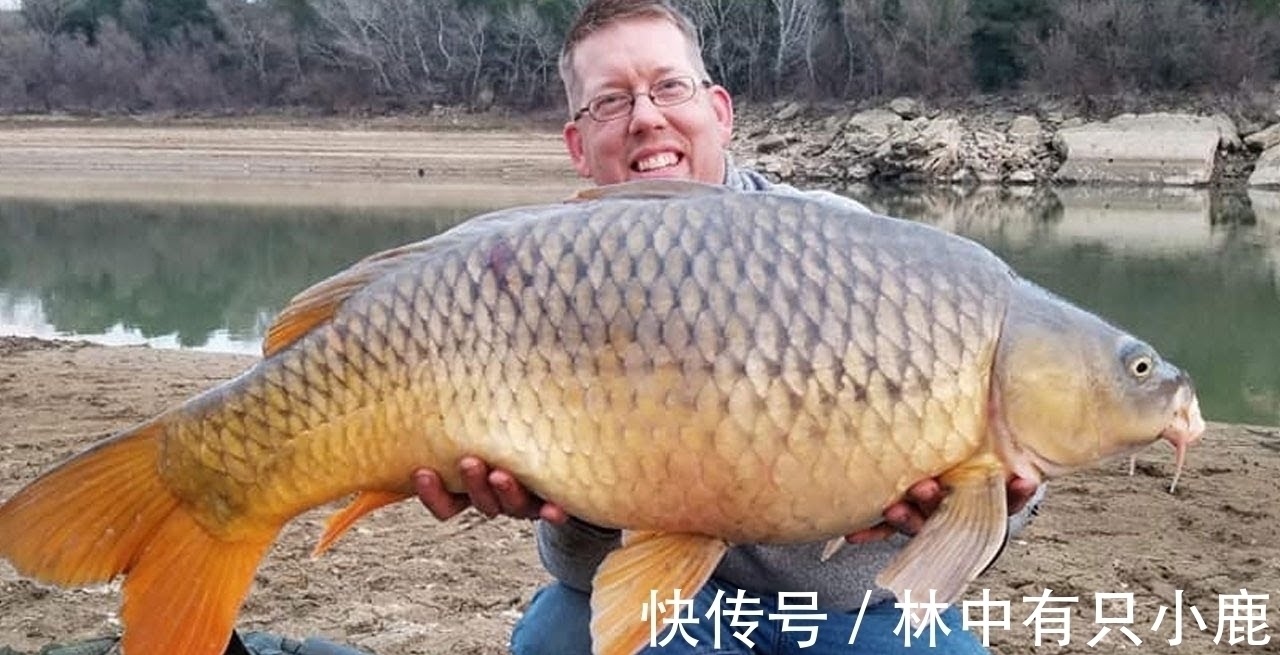 蓑笠哥|到底白天大鱼好钓还是晚上大鱼好钓?用实践和科学证明