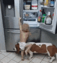 |搞笑GIF:妹子,佩服佩服,这都可以过来啊