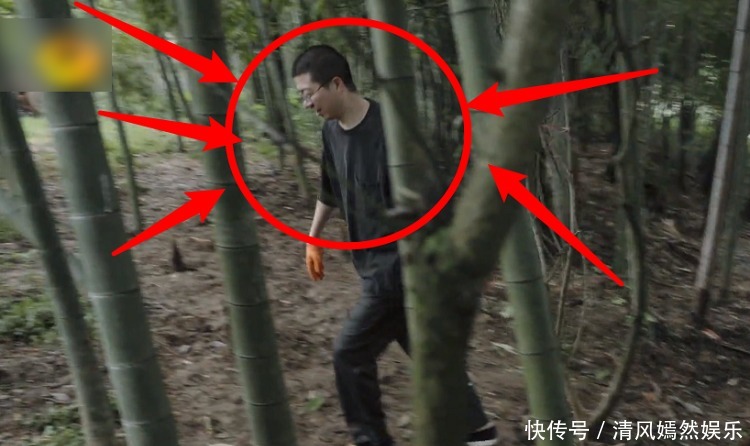 李诞|《向往5》最懒嘉宾又来了，在节目种树种到“吐”，脾气都上来了！