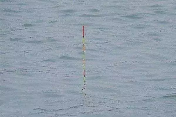 调高钓底和调低钓高,字相同意不同,搞错了的后果就是钓不上鱼