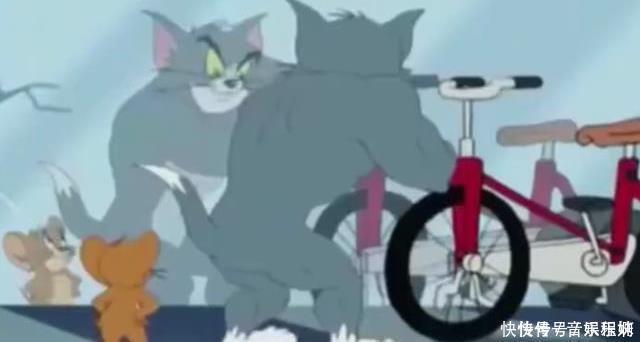 小时候看猫和老鼠以为是搞笑的,长大了才知道这些都是真的