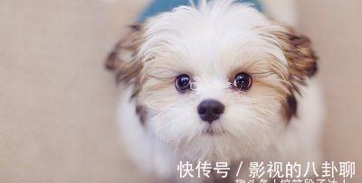 |搞笑段子:但凡有条腿压着也不至于晨跑