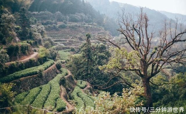 中年|“神仙”向往的地方，整个村改为民宿，被誉为活态“中国古典”