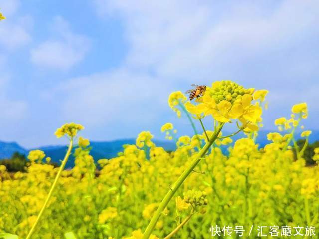 老年|如果一生只去一次新疆,这些地方你一定要知道