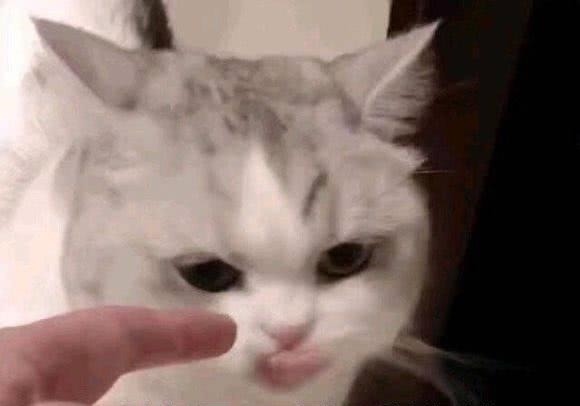 |十条笑话:当年高中时,班花放言:我就喜欢穿白大褂的男人!