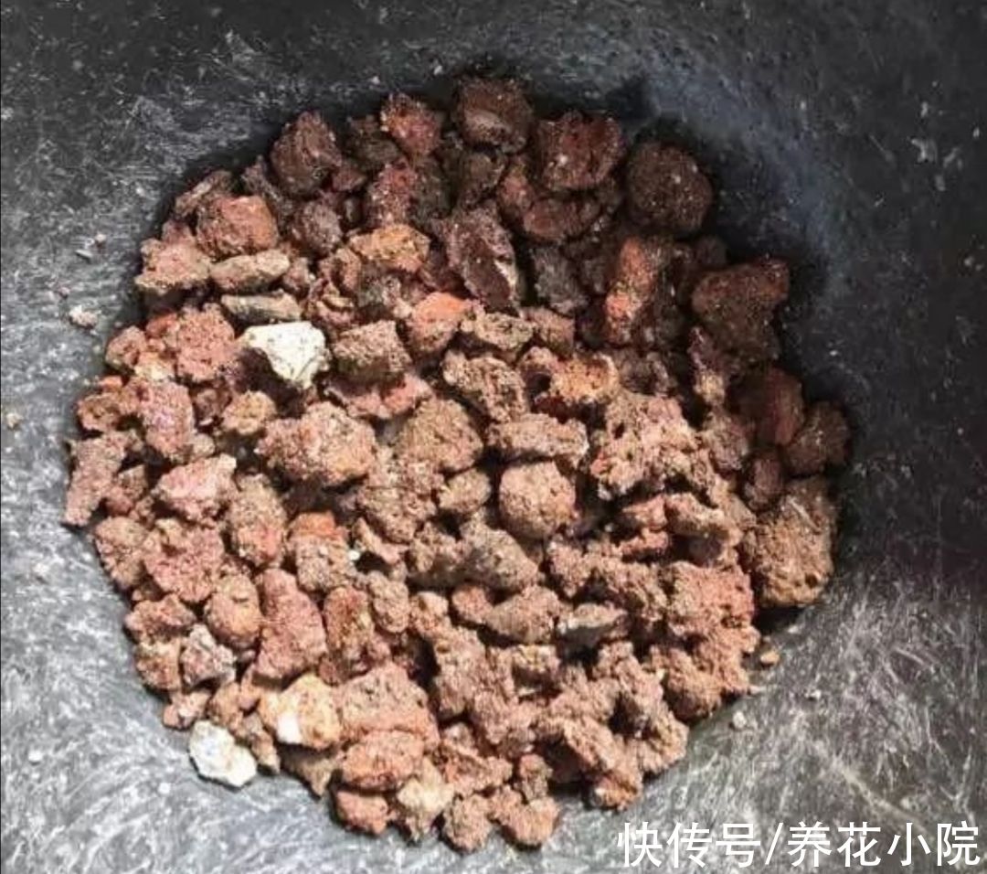 黄叶|给花卉换盆，多做1个“小动作”，避免出现烂根黄叶