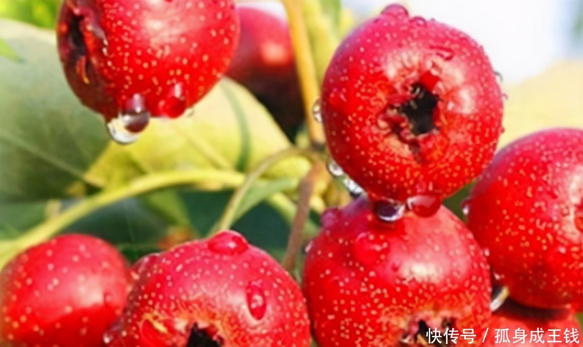 血液循环|女性不想变成“黄花菜”，常吃3种食物，排毒养颜，血液循环