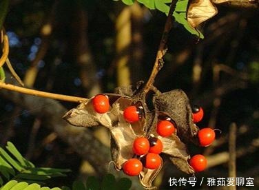 百姓|历史上近乎完美的太子,人品好学识高,深受百姓爱戴