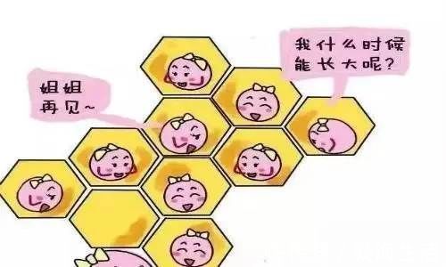 卵泡|为什么建议备孕提前3个月,究竟有没有科学依据?