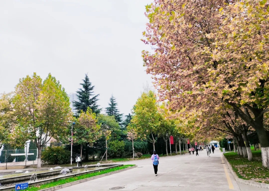  师院|木叶纷纷落 满身都是秋 | 让我们一起点亮师院的秋天吧