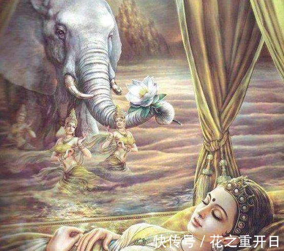 微观世界!释迦牟尼在菩提树下悟道,最后到底悟出了什么不愧是大智之论!