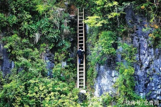 爬悬崖天梯上学的湖南兄妹，因一张照片感动中国，如今他们过得怎样了？