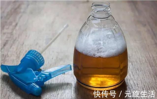 教你1分钟自制“杀虫水”,浇水加1勺,根壮不生虫!