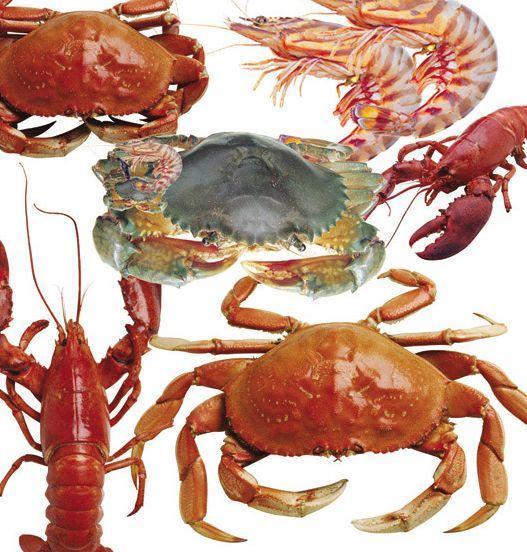 苏子油|5岁男孩,昏迷不醒,入院三小时后离世,医生你们不配做父母