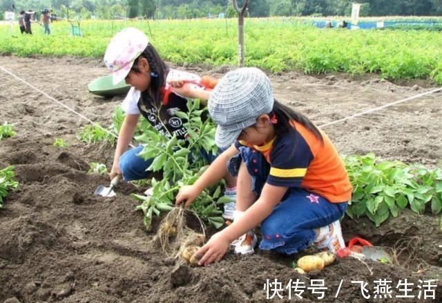 各国|日本的教育为何被各国所称赞？三种教育方式，人们知道却做不到