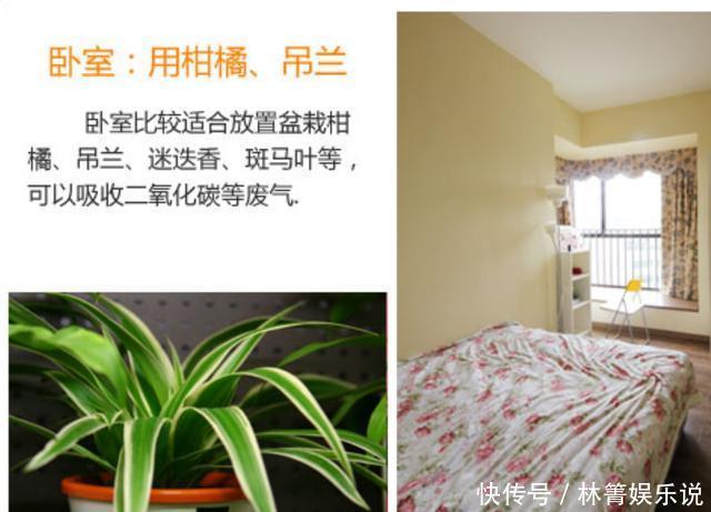 通风换气|房子装修好多长时间才能入住家居环保从5方面入手，清新空气