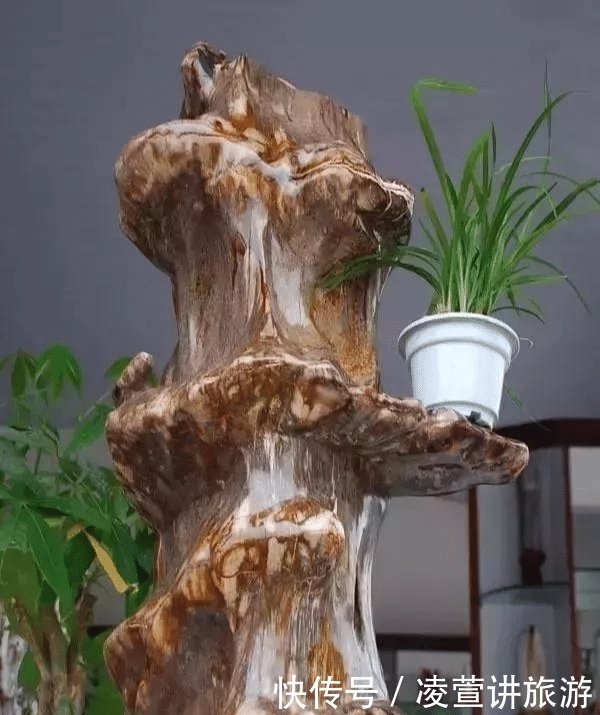 树化玉|亿万年前的宝贝,形似冰种翡翠,估值数百亿