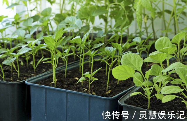 儿媳妇|12岁孙子对奶奶灵魂拷问:爸爸见你3次,打了妈妈3次,你高兴了吗