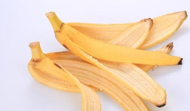 蟹爪兰不开花在盆里放此2种物质,养护很方便,花期时间长