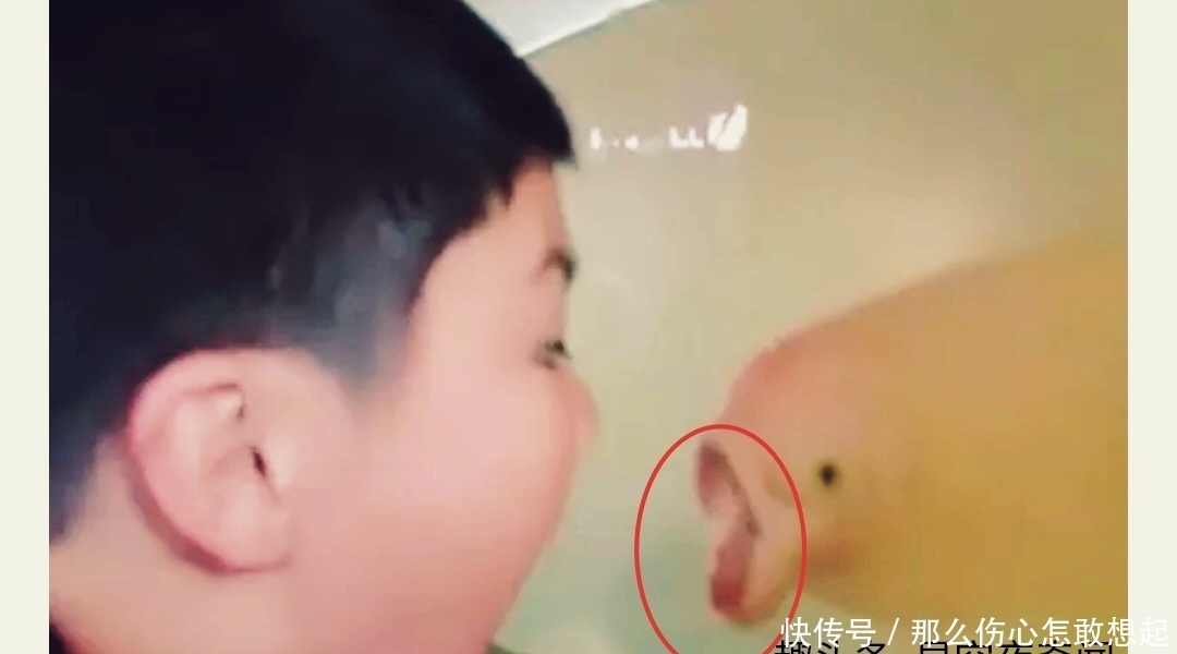 作势|小男孩面对鱼缸扮鬼脸,作势要吓鱼,随后发生的事,无法淡定