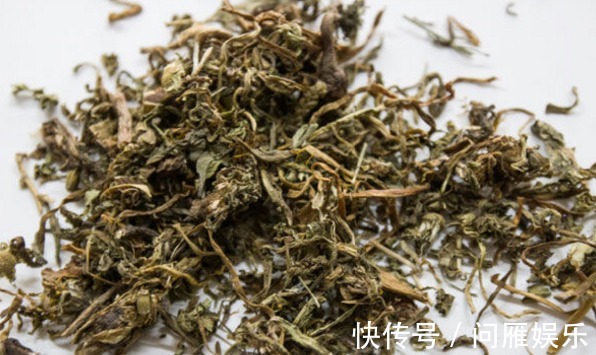 中医|自己晒干的蒲公英能喝吗老中医这样回答,或许跟你想的不一样