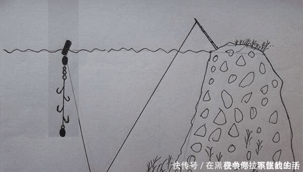 大草|夏季远投钓草鱼的多种方法,可钓底可钓浮,让你轻松钓获大草鱼