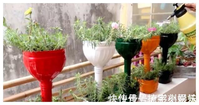 太阳花|别人不要的饮料瓶,被他改成五颜六色花盆,过程引近450万人围观